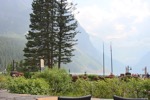resIMG_20170712_183106_8531.JPG